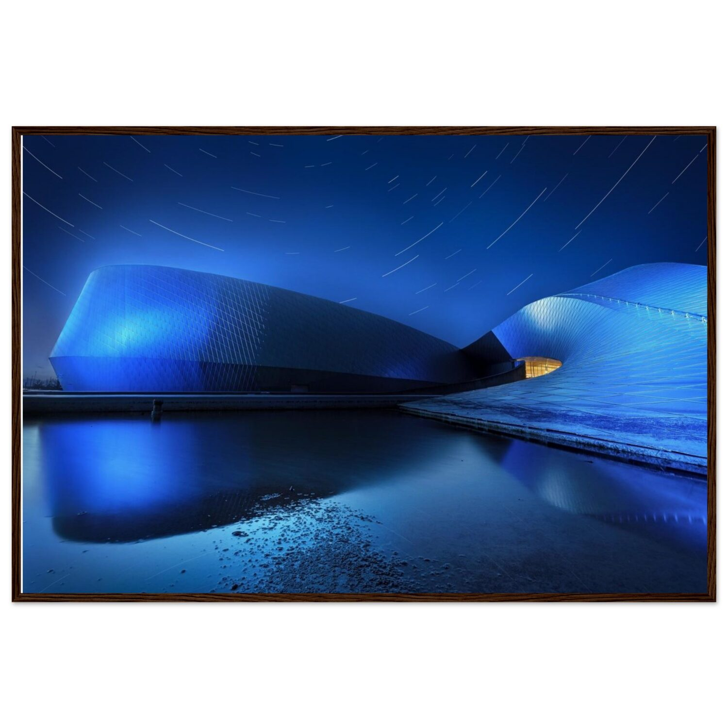 8a1ea887-a134-48eb-a759-009fc5b82919