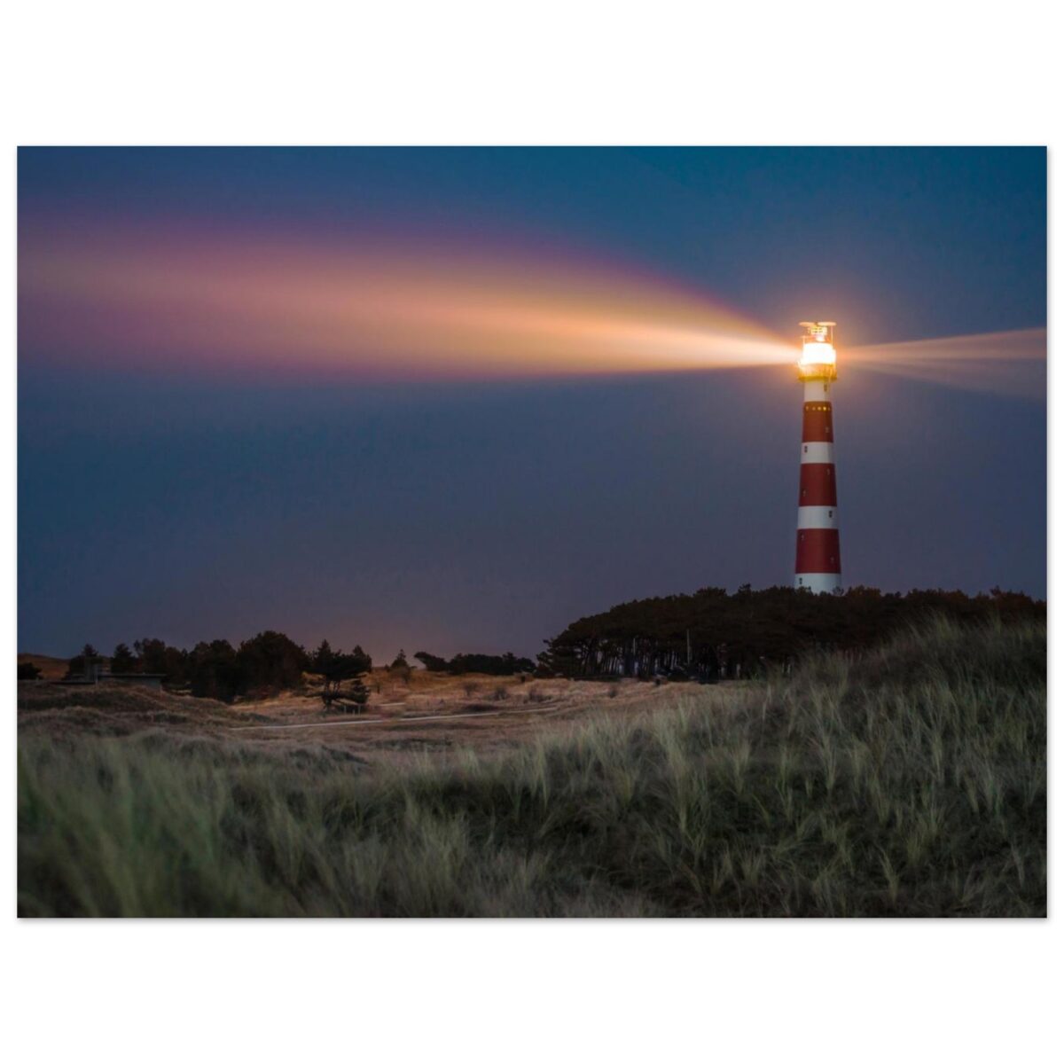 45508ea3-abcc-47a9-94a9-a2b1adc9dfde