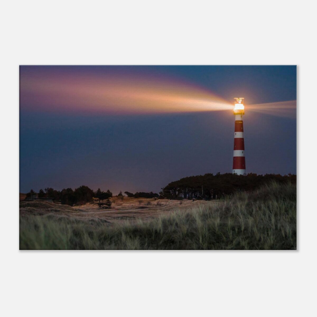 46c1dc5d-28d5-4986-b0c5-e44582e15a2a