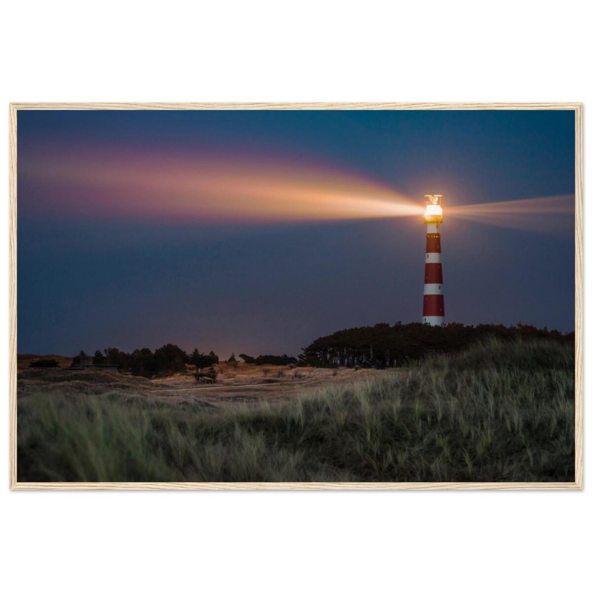 5f5a9f7a-e796-4397-86c2-a08467707b81