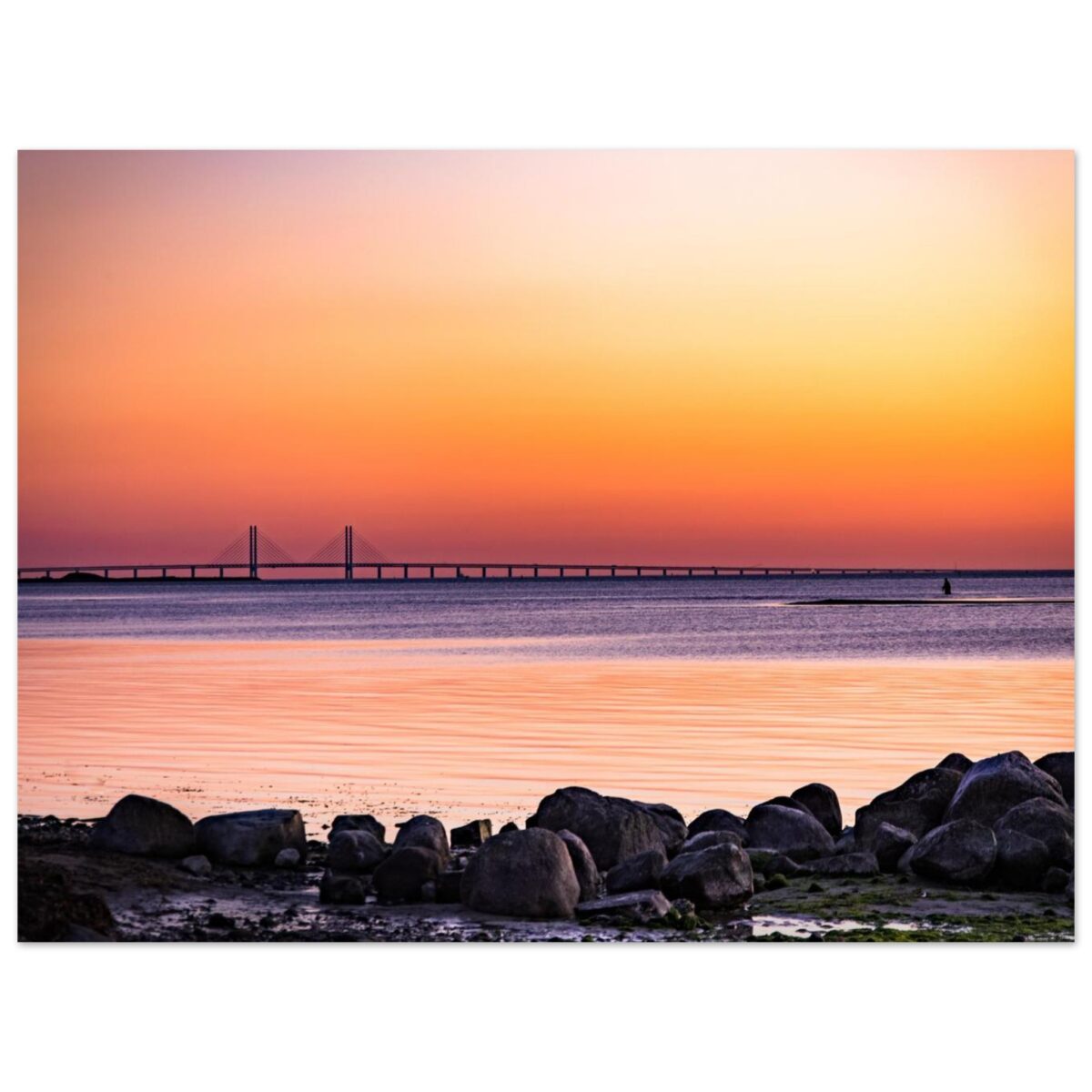 e177d7f5-80af-4b11-8b6e-385df3783a46